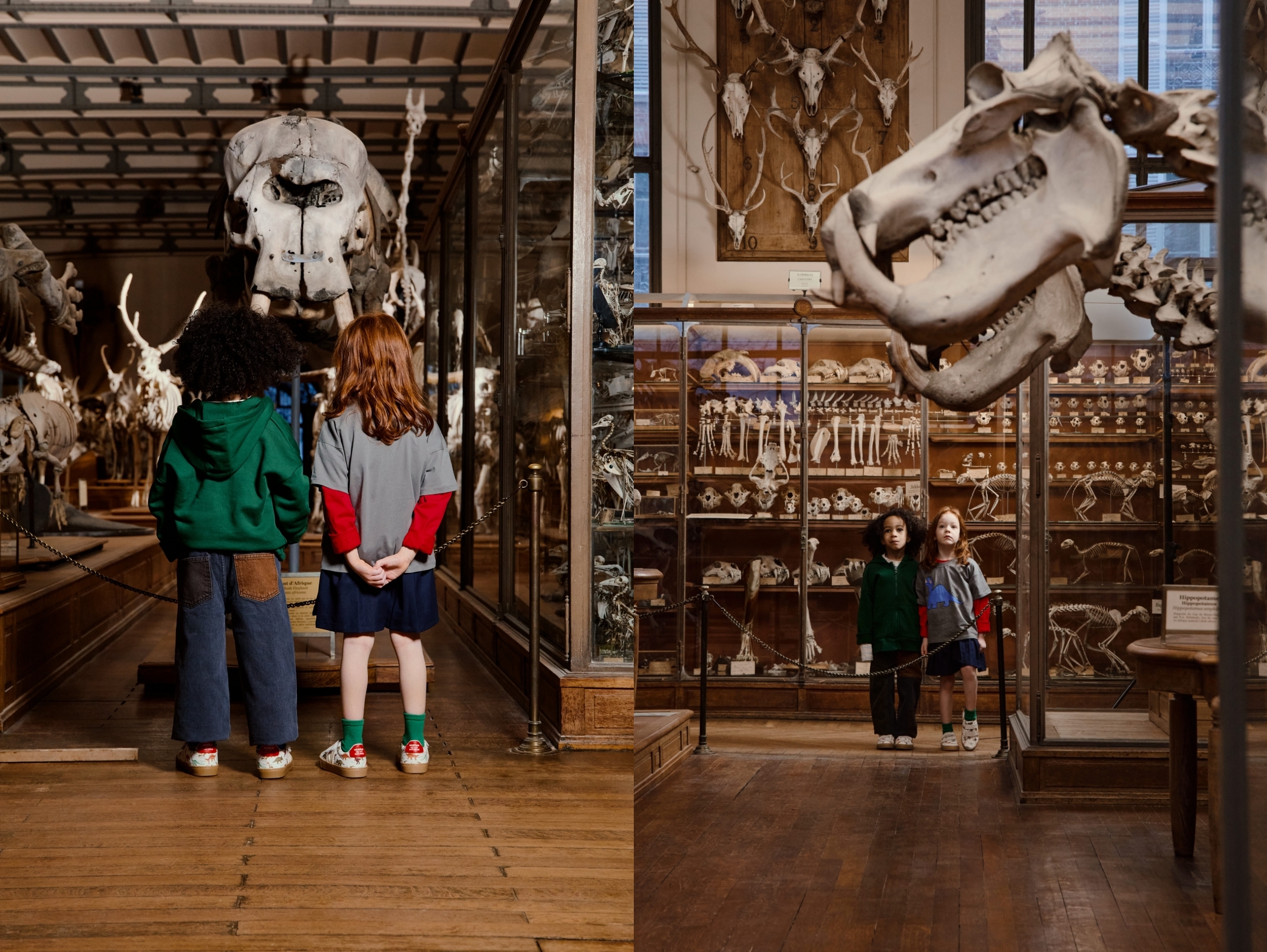 베자, 프랑스 국립자연사박물관과 협업... '에스플라 키즈' 스니커즈 출시 785-Image